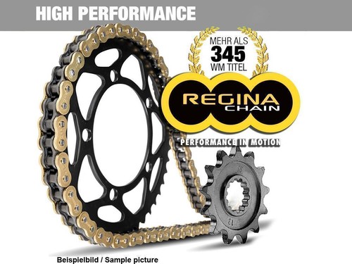 Set catena endantrieb regina - catena,